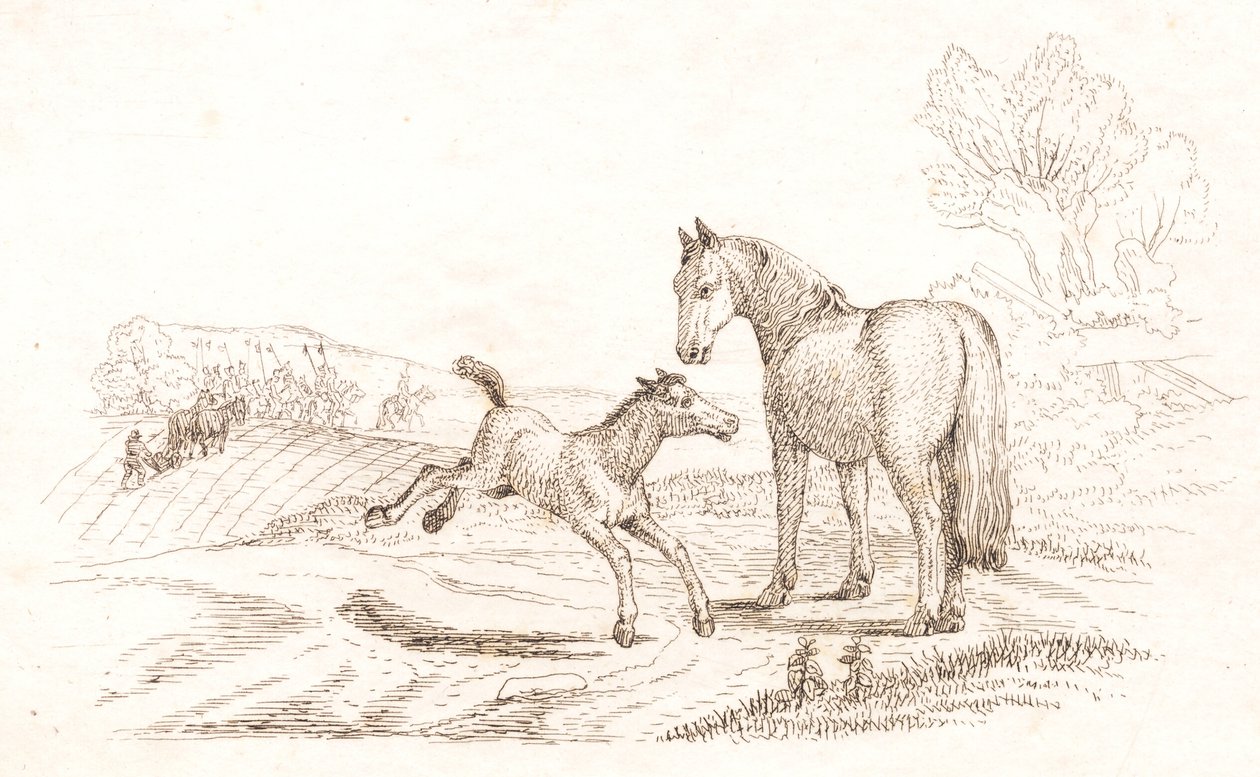 Illustration for 