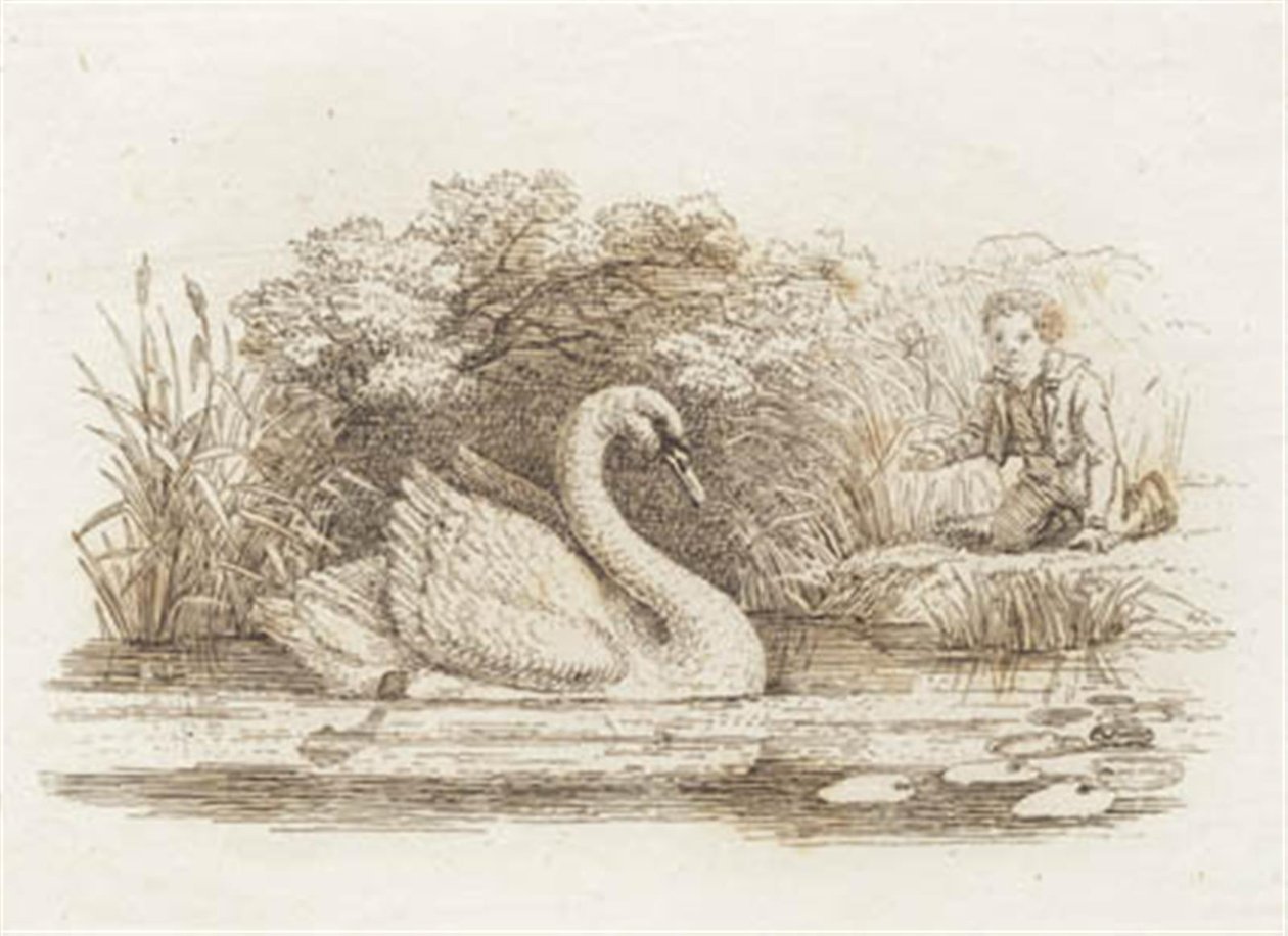 Illustration for 