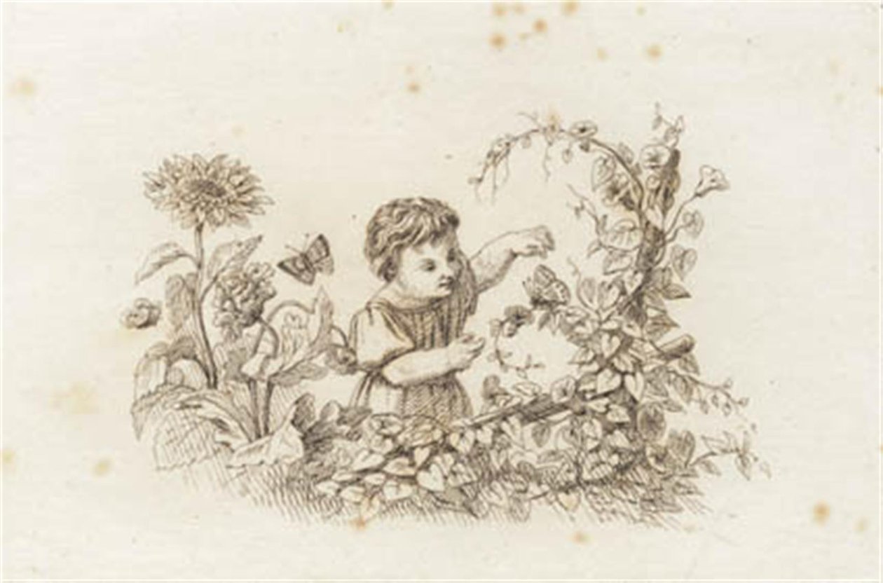 Illustration for 