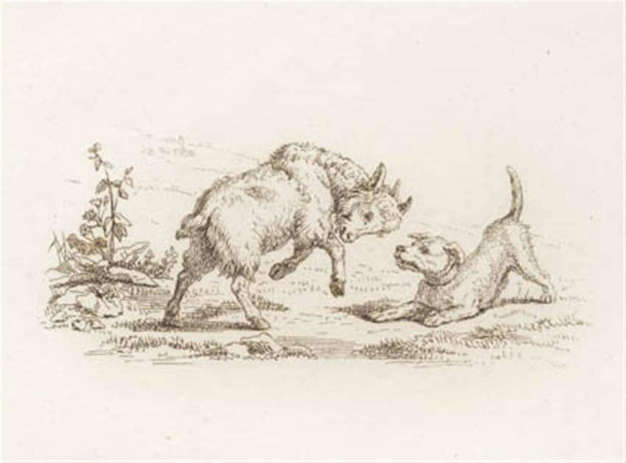 Illustration for "Fifty Fables for Children" by Hey by Martinus Rørbye