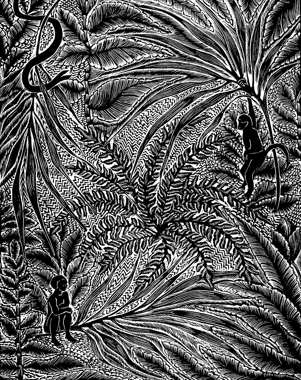 Jungle by Mary Kuper