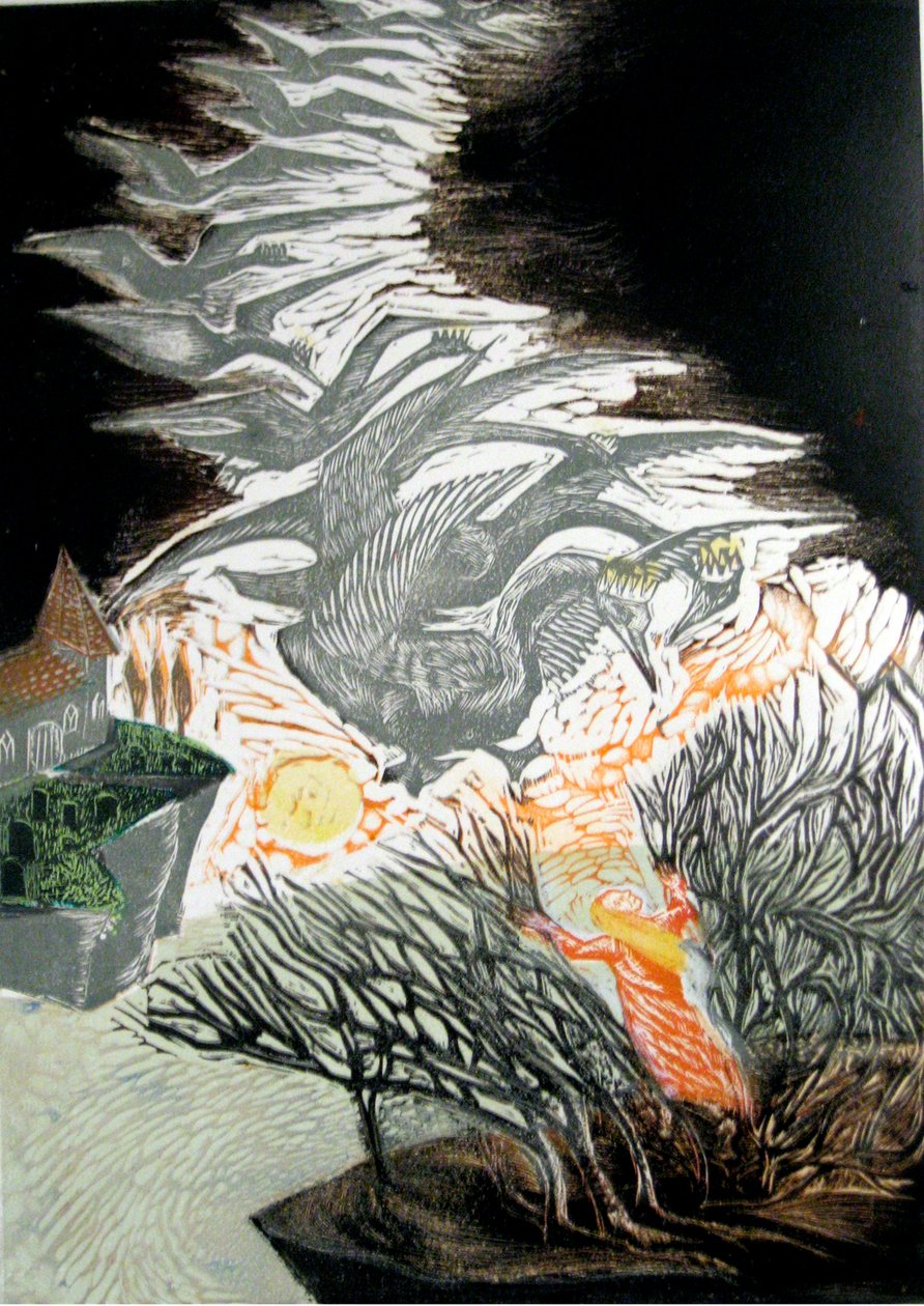 The Wild Swans by Mary Kuper