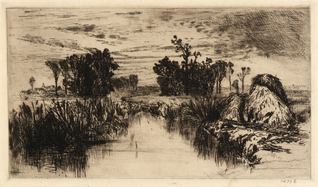 Cattails and Trees by Mary Nimmo Moran