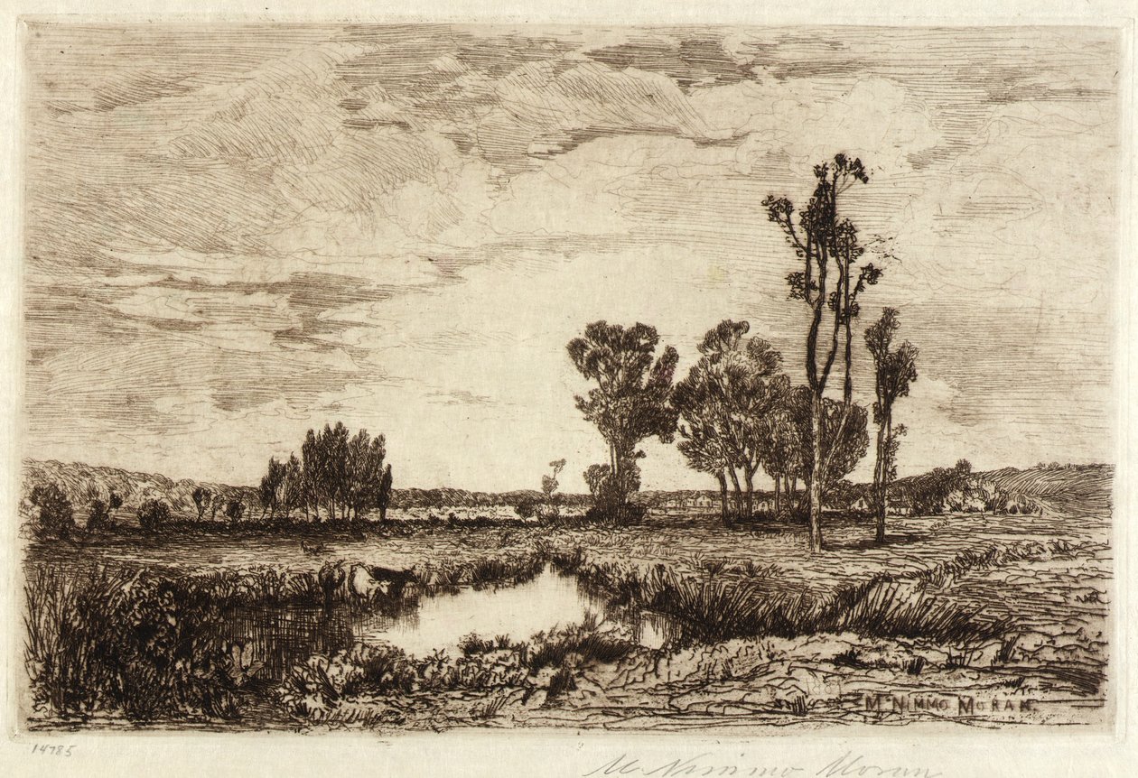 Cattle in a Pond by Mary Nimmo Moran