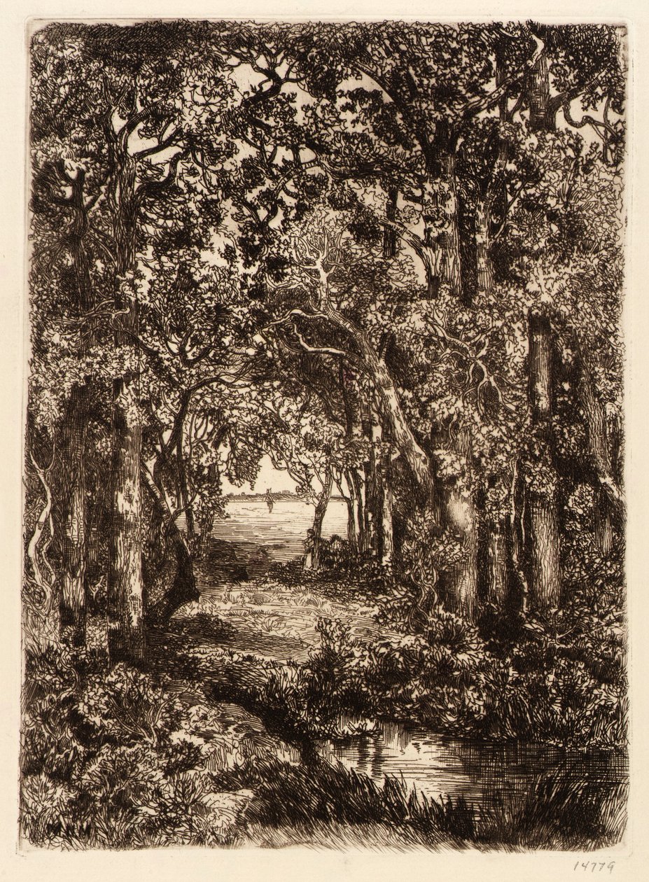 The Sea through the Woods by Mary Nimmo Moran