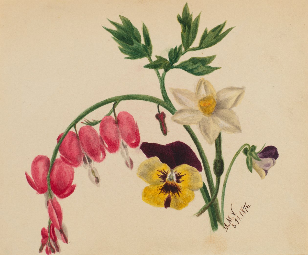 Untitled (Mixed Flowers) by Mary Vaux Walcott