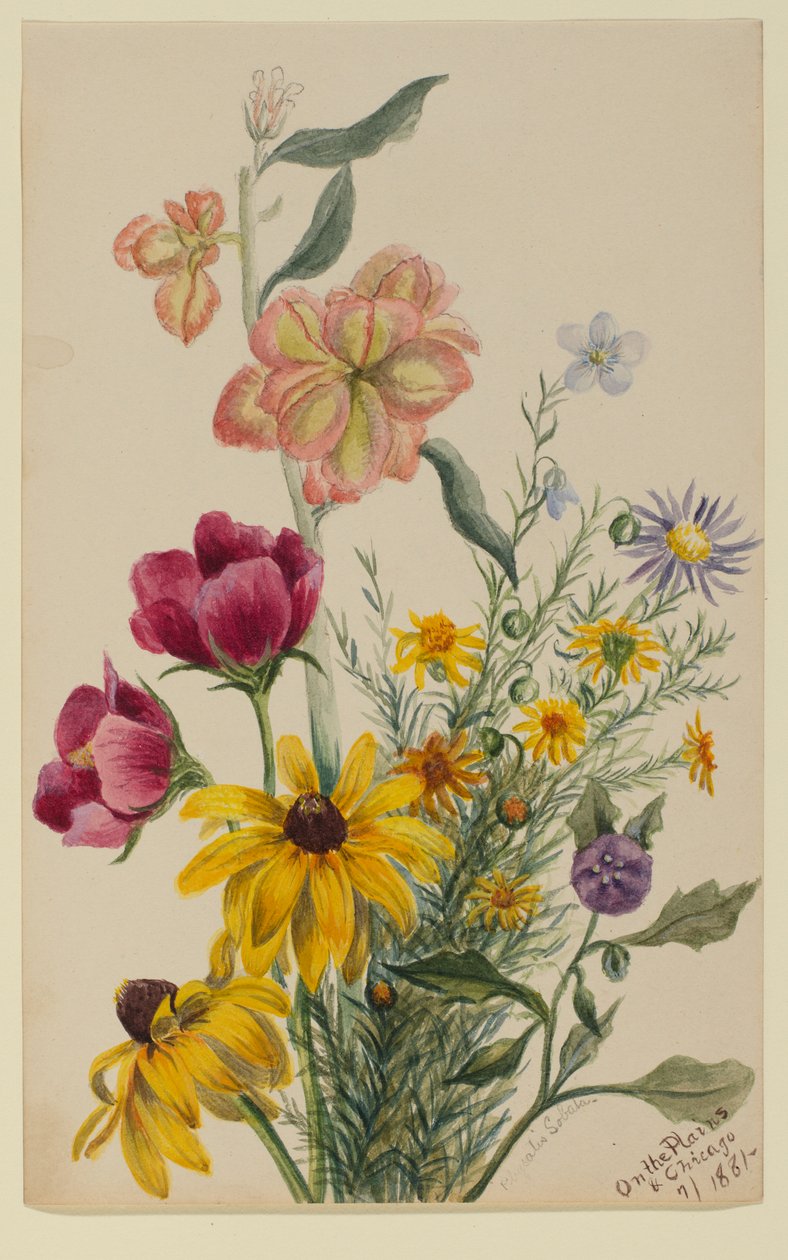 Group of Flowers by Mary Vaux Walcott