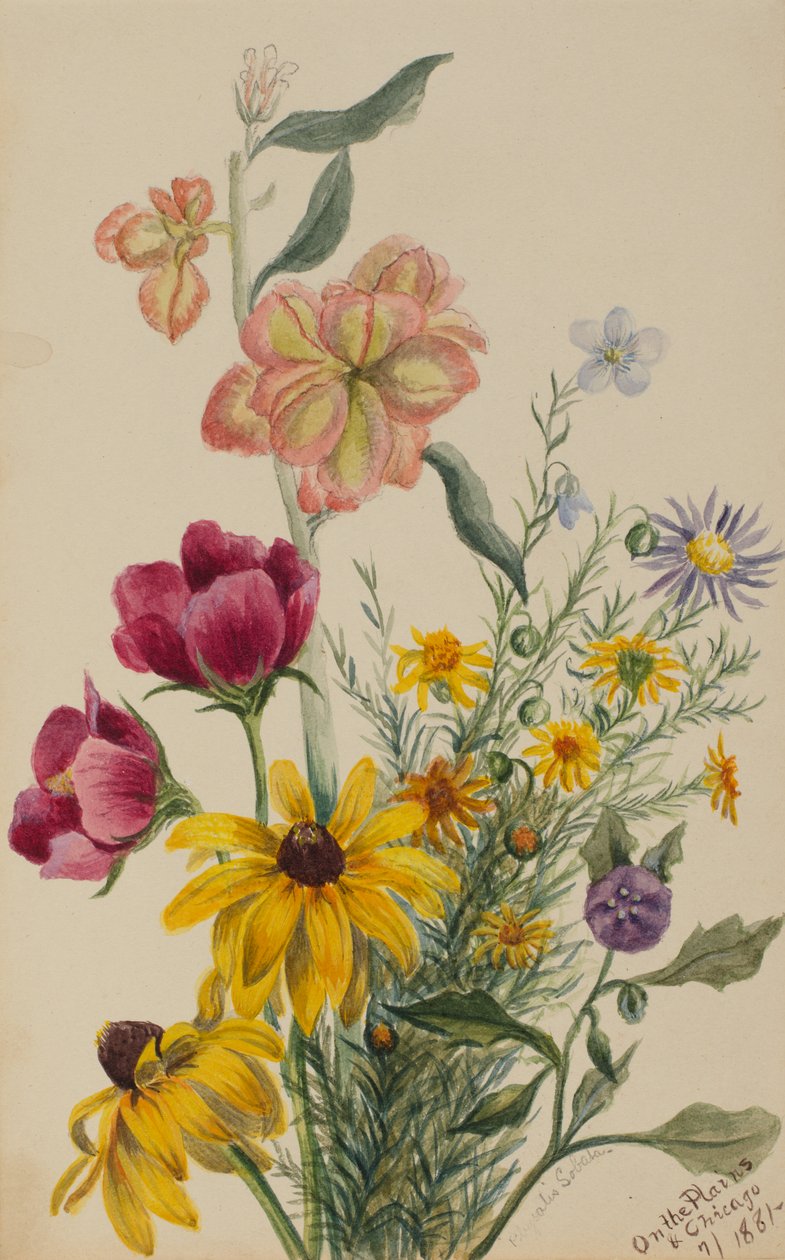Group of Flowers, 1881 by Mary Vaux Walcott