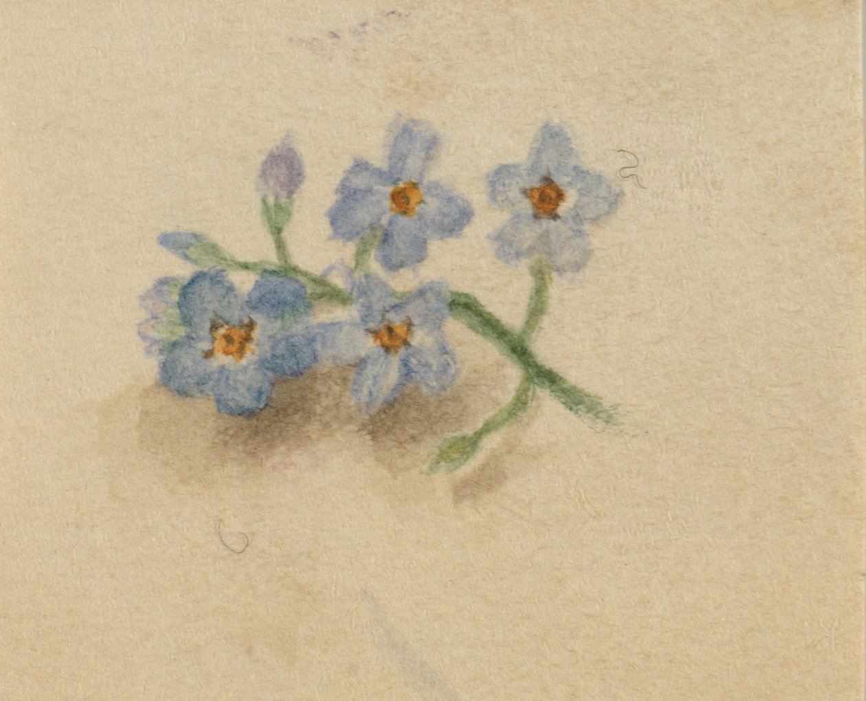 Untitled, 1874 by Mary Vaux Walcott