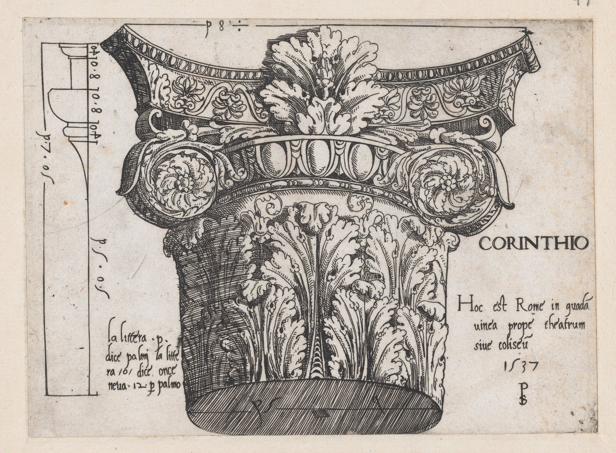 Speculum Romanae Magnificentiae: Corinthian capital by Master PS