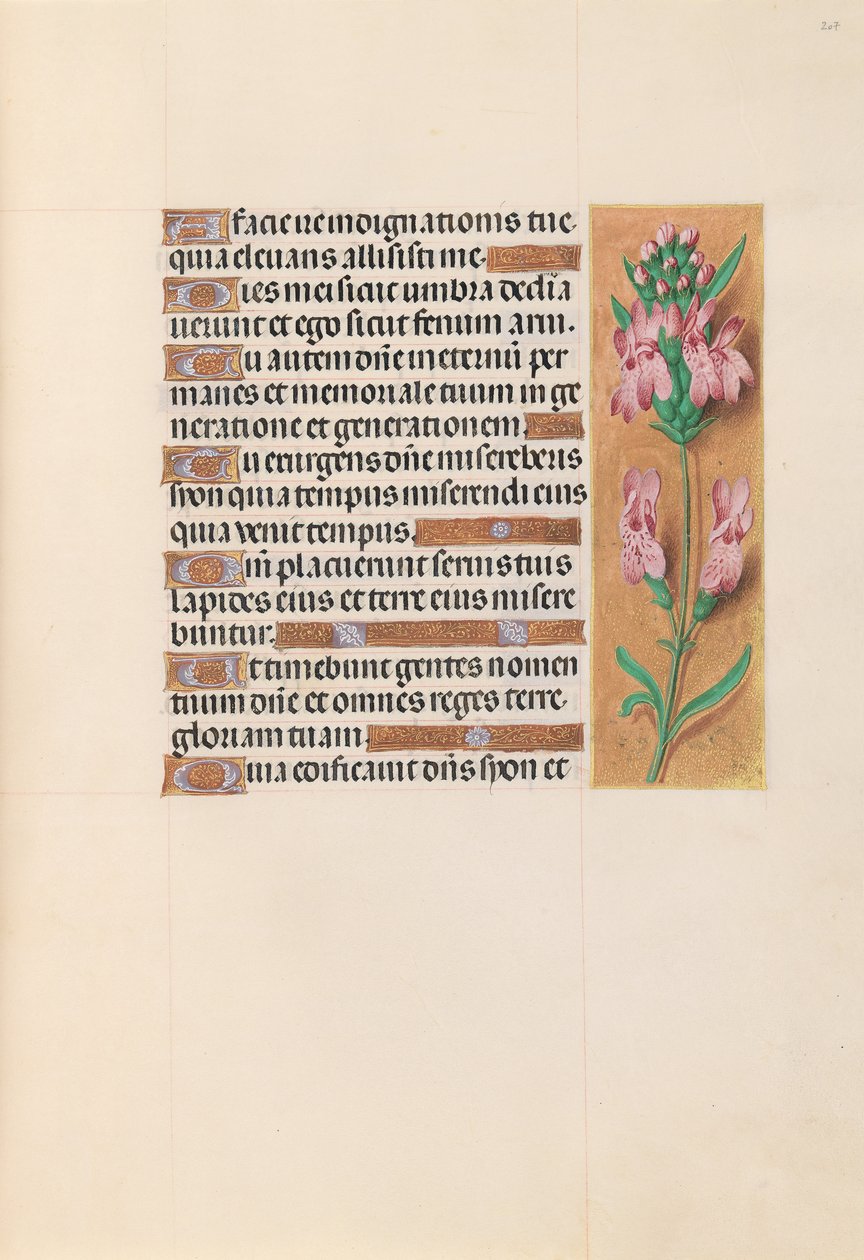 Hours of Queen Isabella the Catholic, Queen of Spain: Fol. 207r by Master of the First Prayerbook of Maximillian
