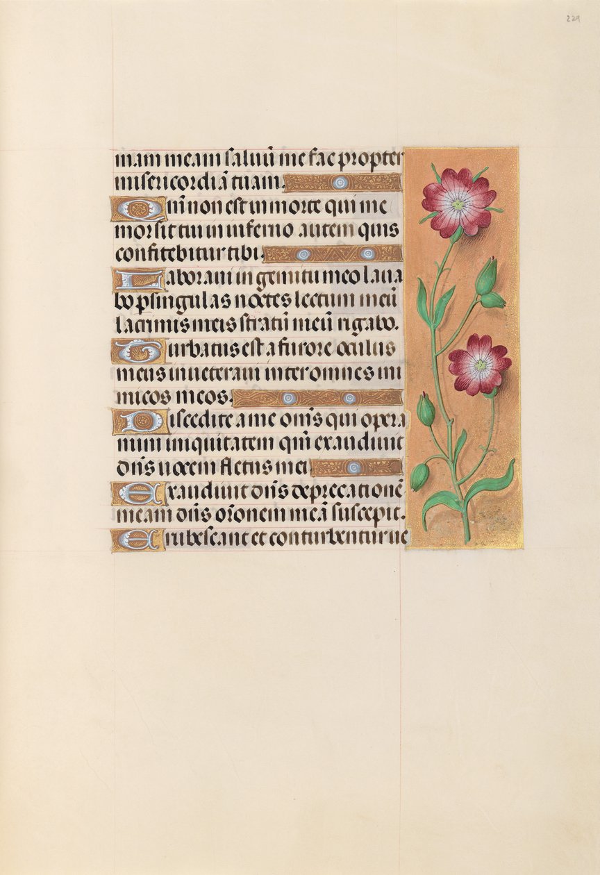 Hours of Queen Isabella the Catholic, Queen of Spain: Fol. 229r by Master of the First Prayerbook of Maximillian