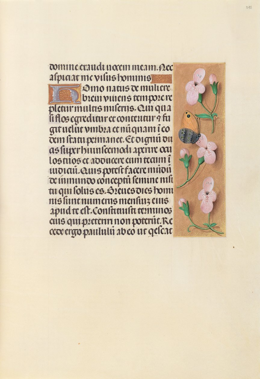 Hours of Queen Isabella the Catholic, Queen of Spain: Fol. 238r by Master of the First Prayerbook of Maximillian