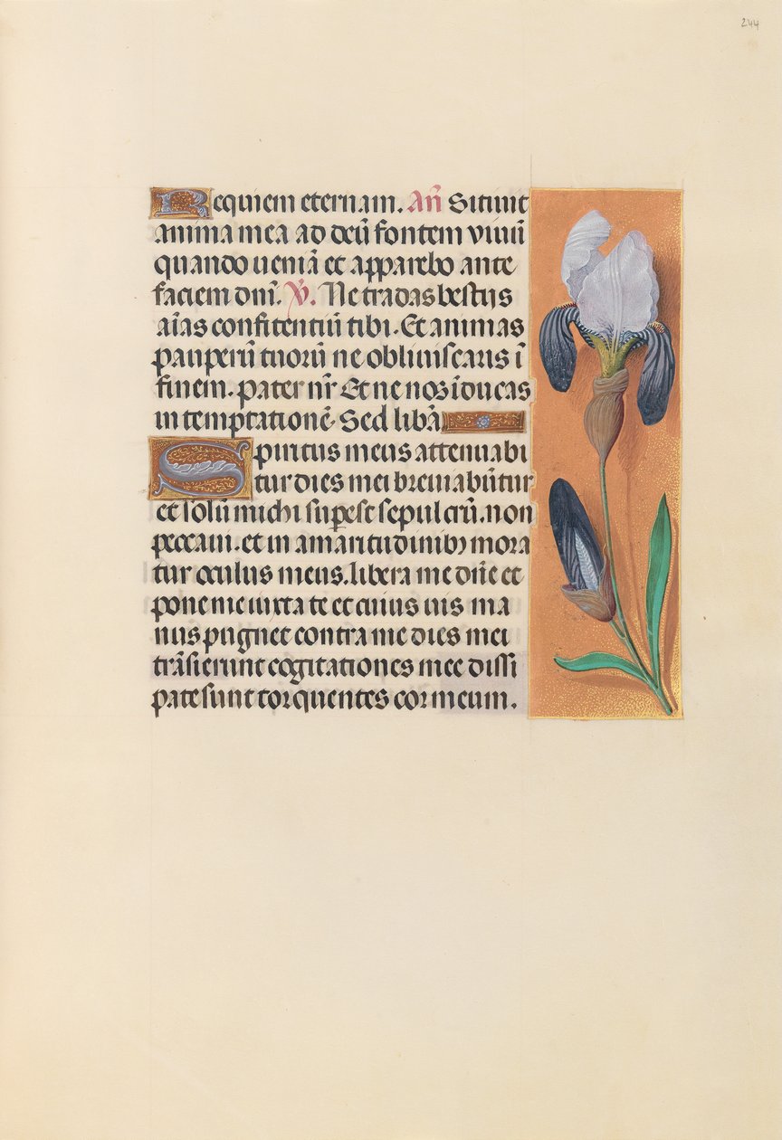 Hours of Queen Isabella the Catholic, Queen of Spain: Fol. 244r by Master of the First Prayerbook of Maximillian