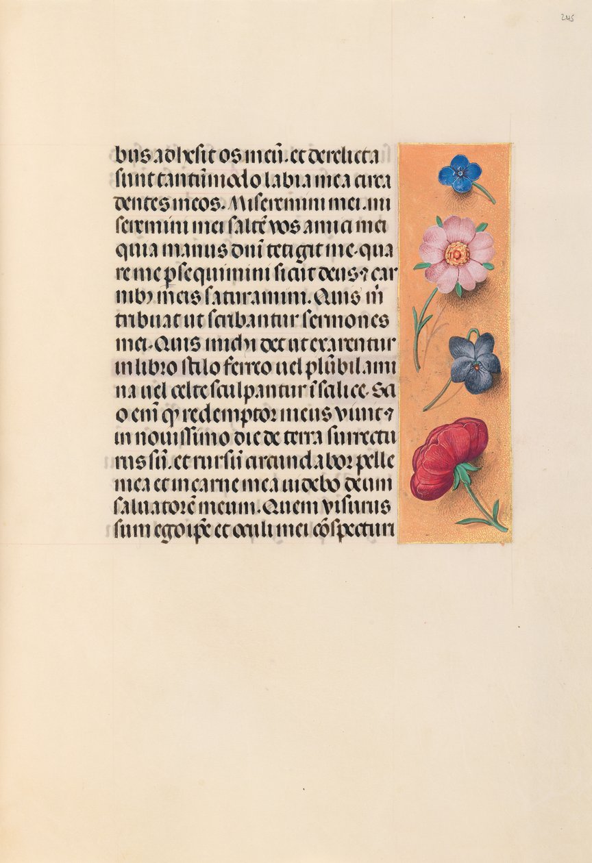 Hours of Queen Isabella the Catholic, Queen of Spain: Fol. 245r by Master of the First Prayerbook of Maximillian