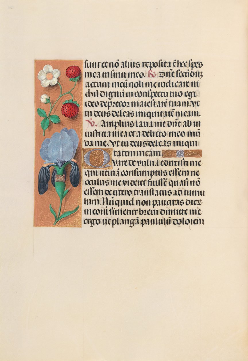 Hours of Queen Isabella the Catholic, Queen of Spain: Fol. 245v by Master of the First Prayerbook of Maximillian