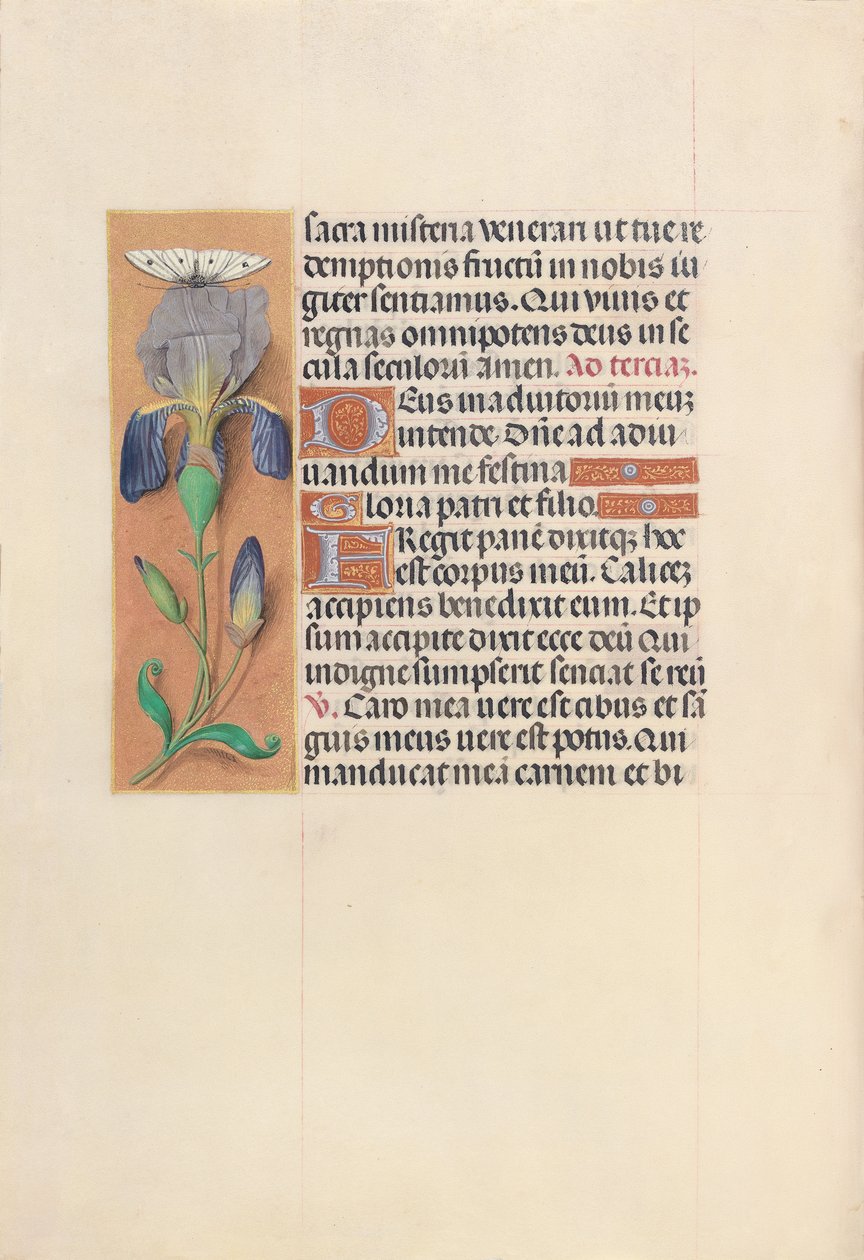 Hours of Queen Isabella the Catholic, Queen of Spain: Fol. 45v, c. 1500 by Master of the First Prayerbook of Maximillian