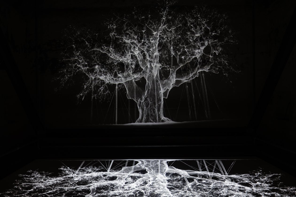 Albion by Mat Collishaw