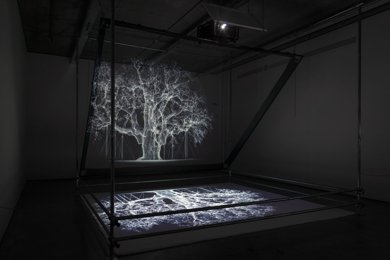 Albion by Mat Collishaw
