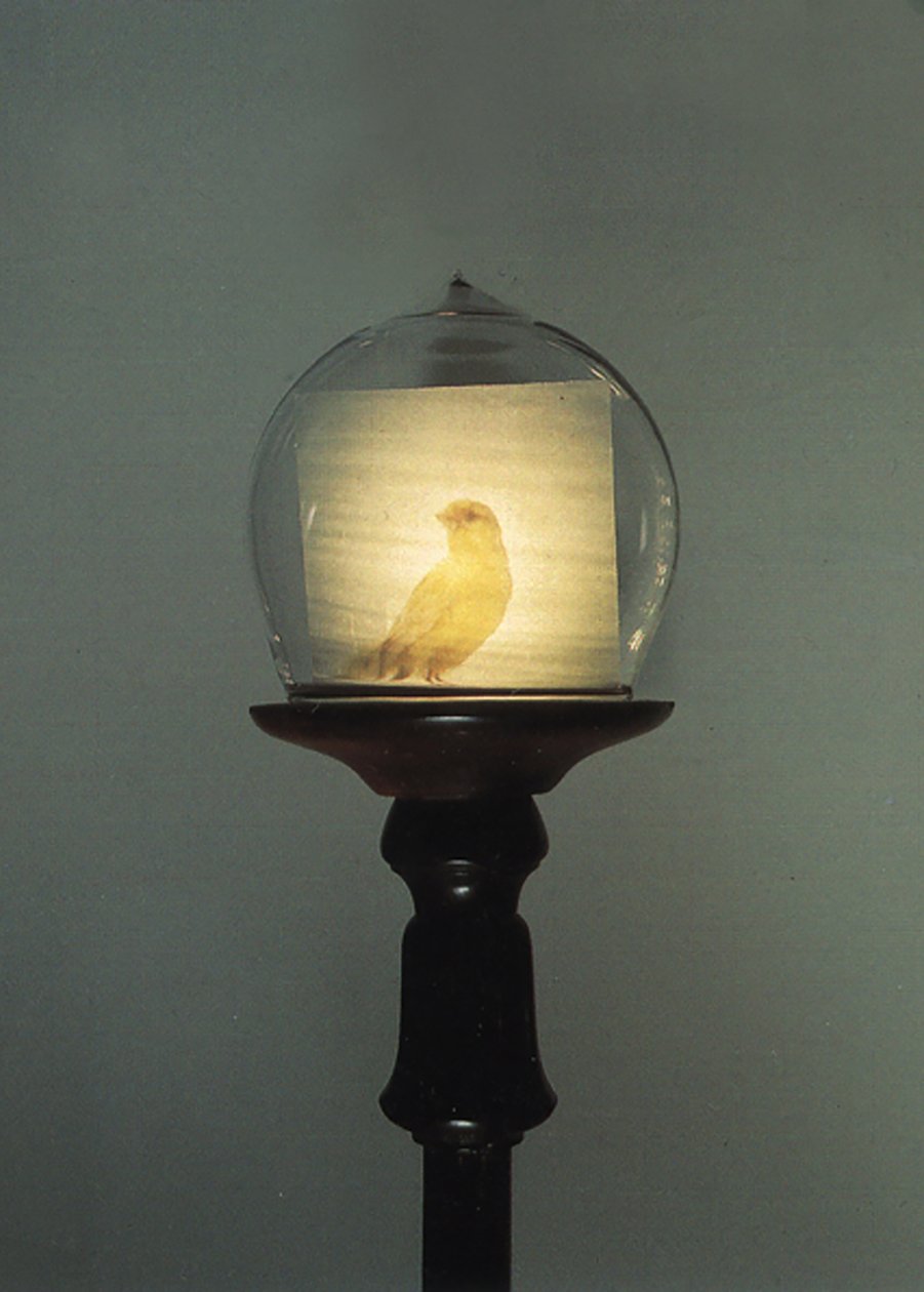 Antique by Mat Collishaw