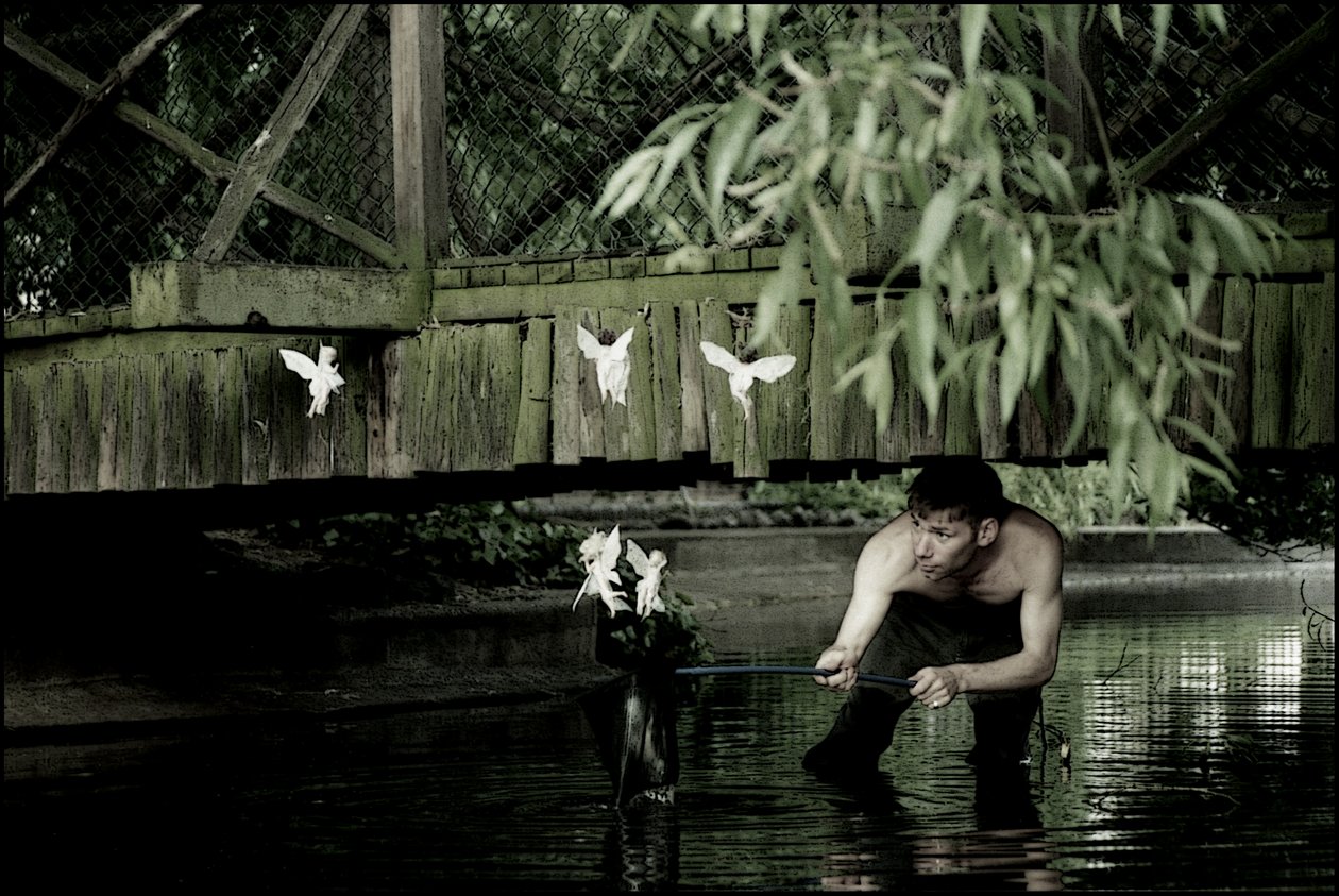Catching Fairies 6 by Mat Collishaw