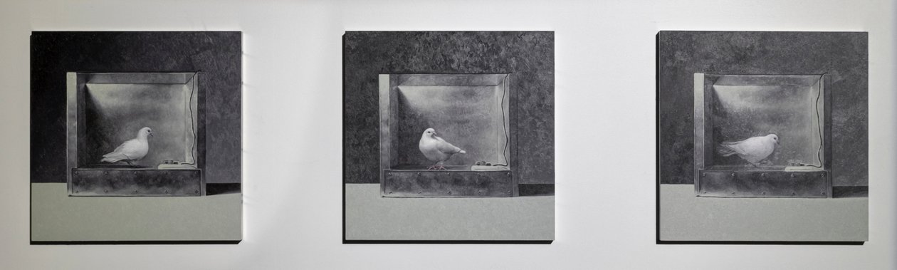 Operant Conditioning Chamber 3, 2022 by Mat Collishaw