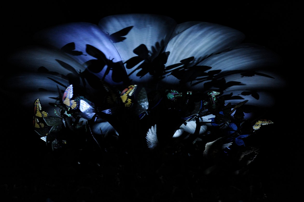 The Garden of Unearthly Delights by Mat Collishaw