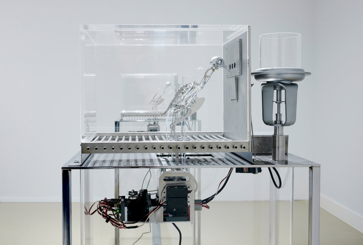The Machine Zone by Mat Collishaw