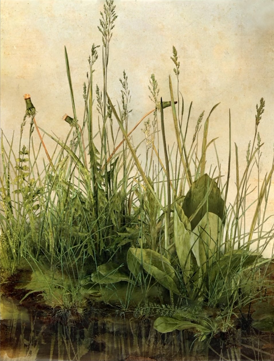 Whispering Weeds, 2011 by Mat Collishaw