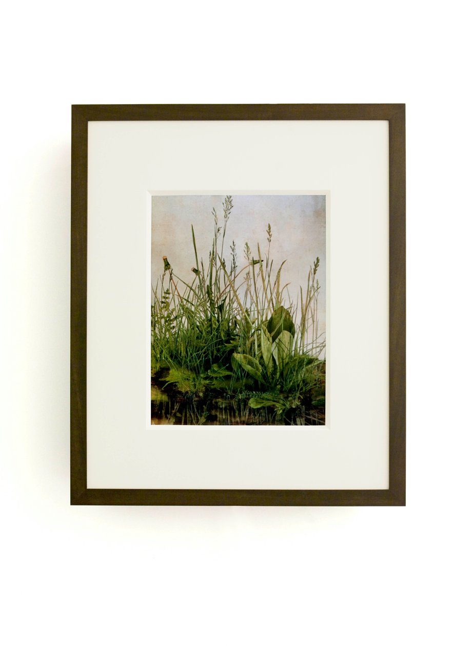 Whispering Weeds by Mat Collishaw