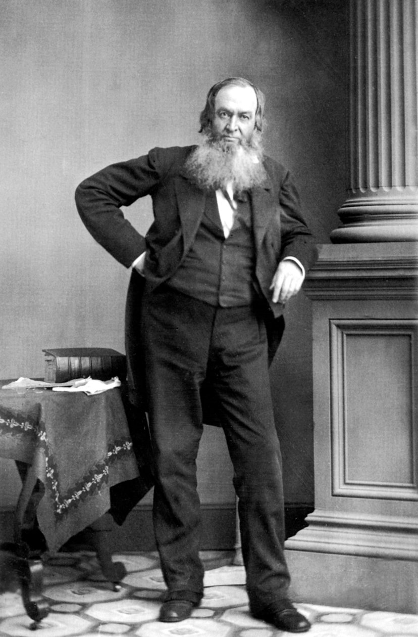 Gerrit Smith: American Politician, New York by Mathew B. Brady