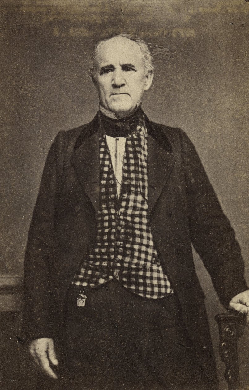 Sam Houston, c.1860-65 (albumen silver print) by Mathew B. Brady