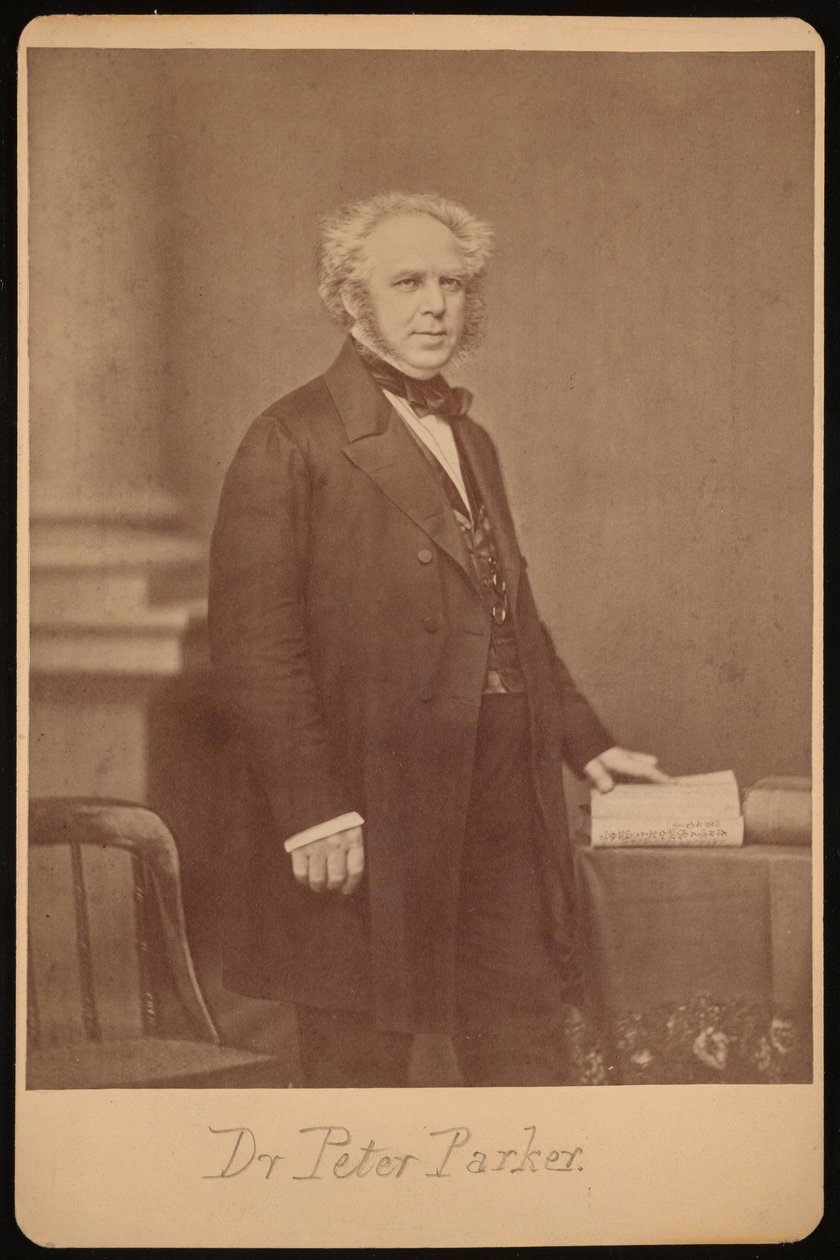 Portrait of Peter Parker by Mathew Brady
