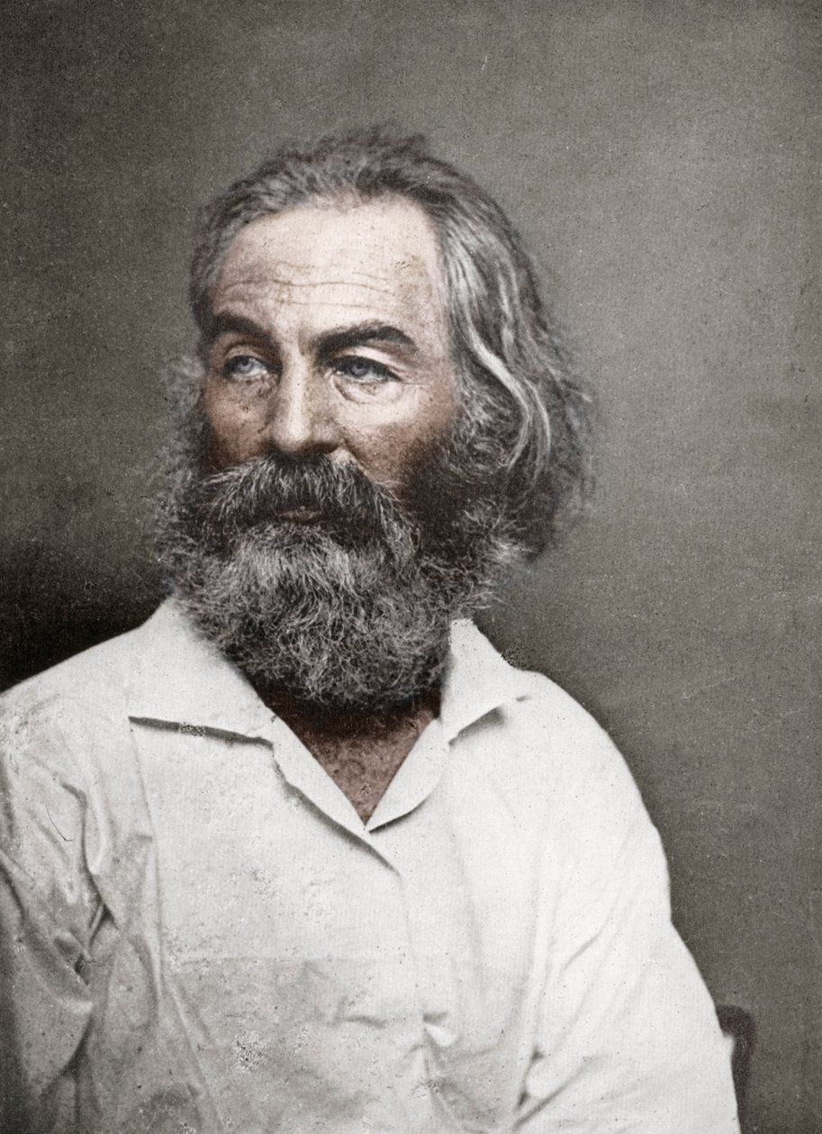 Walt Whitman, American Poet, c1880s by Mathew B. Brady