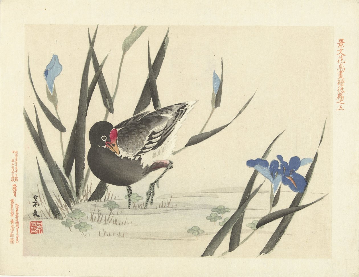 Coot among blue irises by Matsumura Keibun