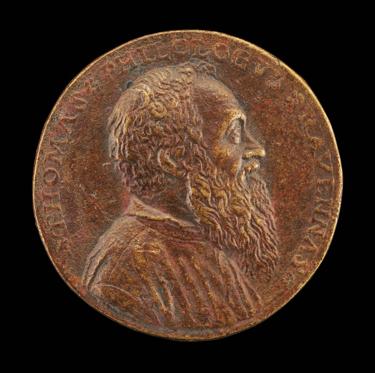 Tommaso Rangone, Physician of Ravenna [obverse] by Matteo Pagani