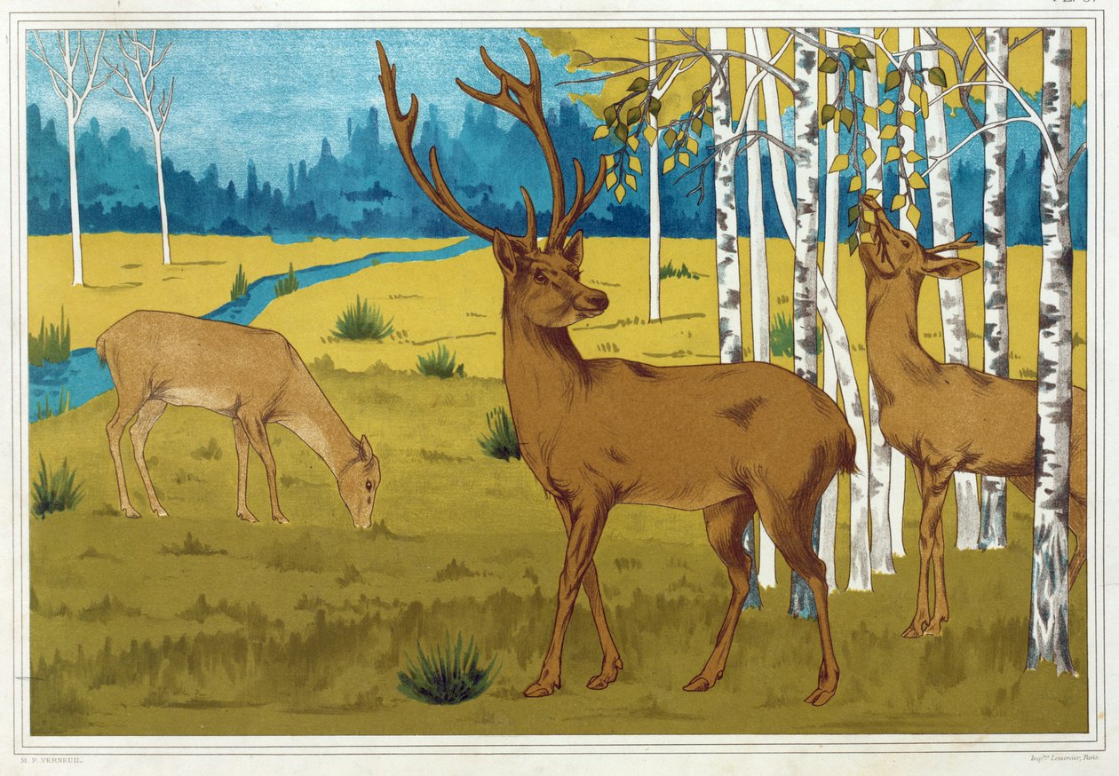 Deer from L