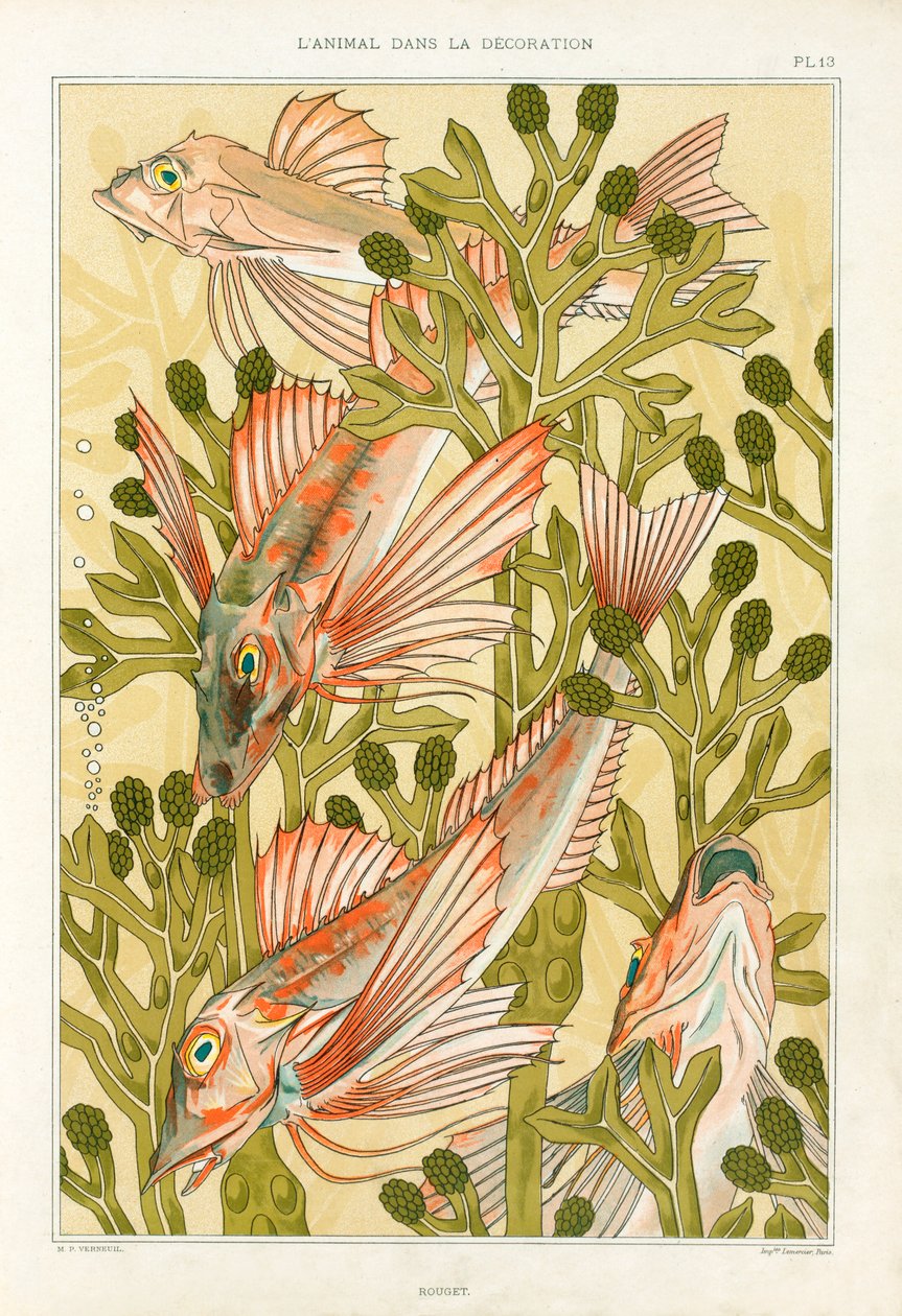 Red Mullet by Maurice Pillard Verneuil