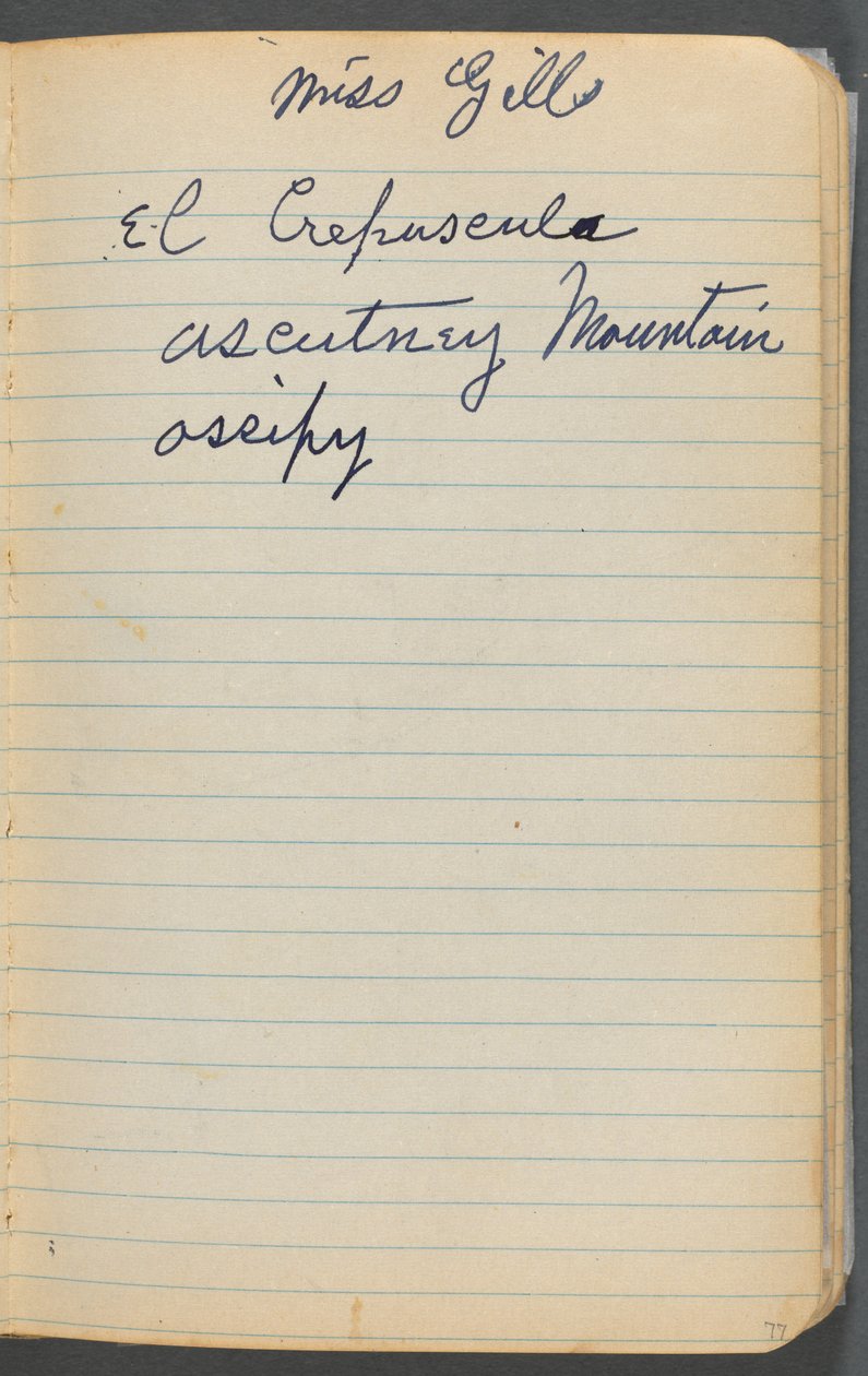 Sketchbook: Notes by Maurice Prendergast