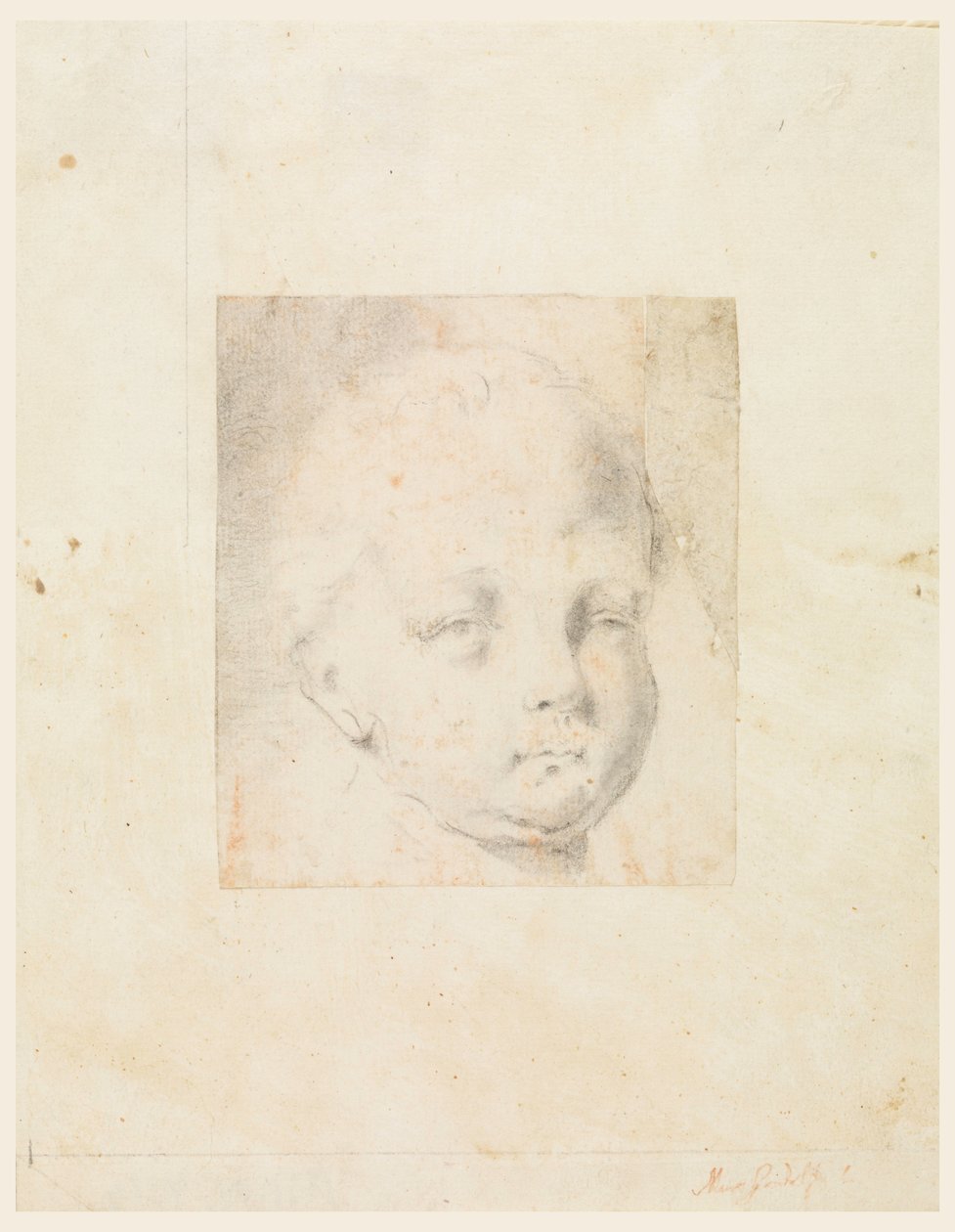 Study: Head of a Boy, 1810-34 by Mauro Gandolfi