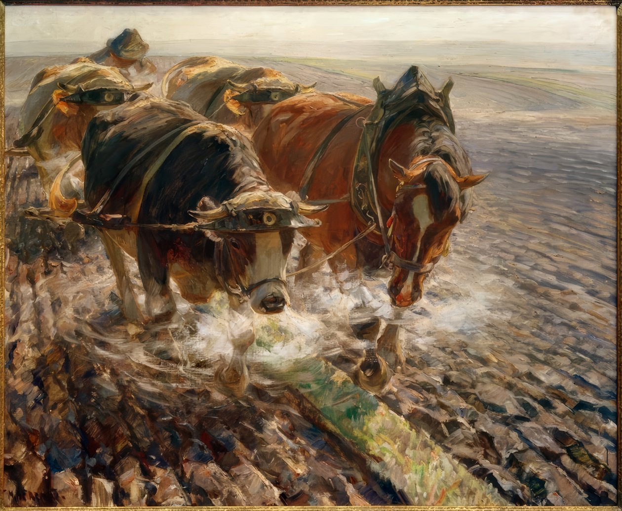 Steaming Plaice by Max Bergmann