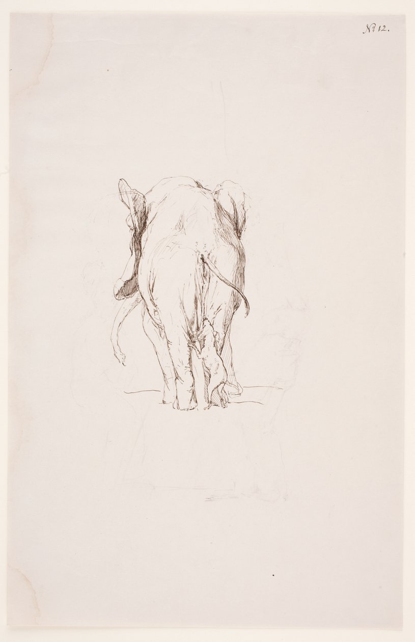"Path of Defilement" - "Elephant and Sniffing Dog" by Max Klinger