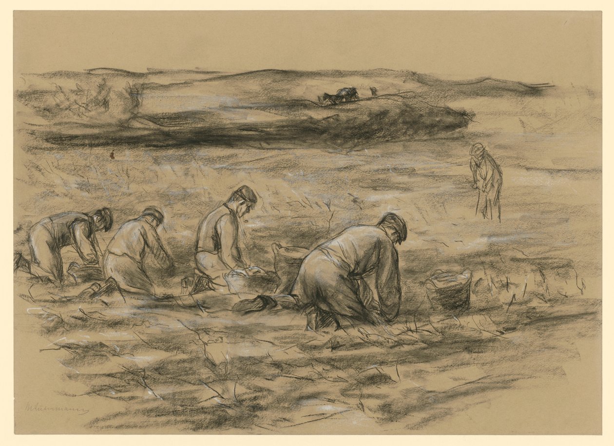 Potato Diggers in Zandvoort by Max Liebermann