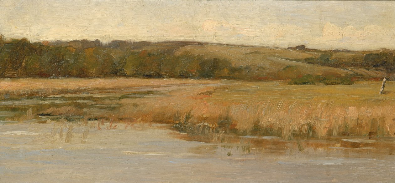 Hill and Marshland, late 19th-early 20th century by Max Weyl