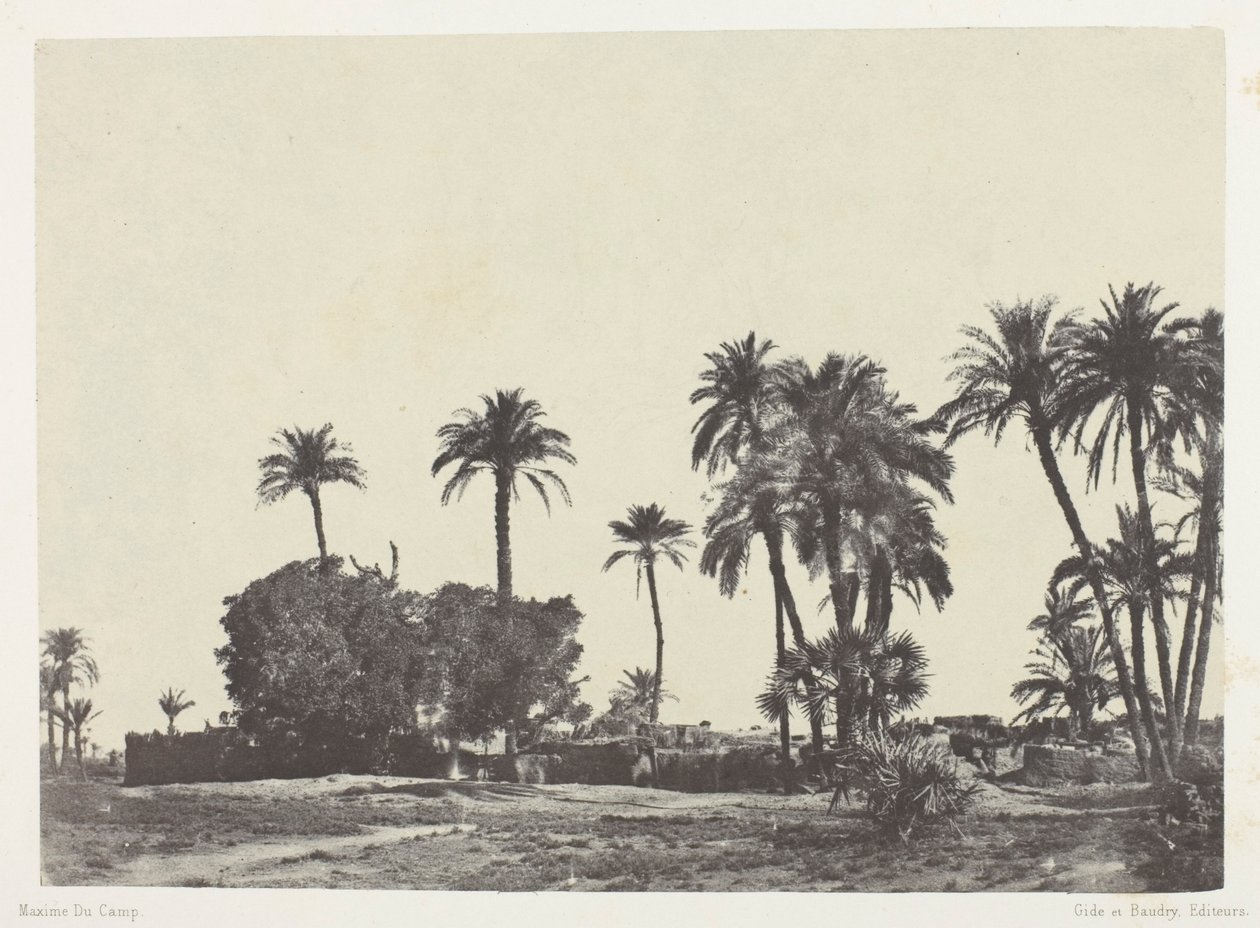 Village of Hamameh, Upper Egypt by Maxime Du Camp