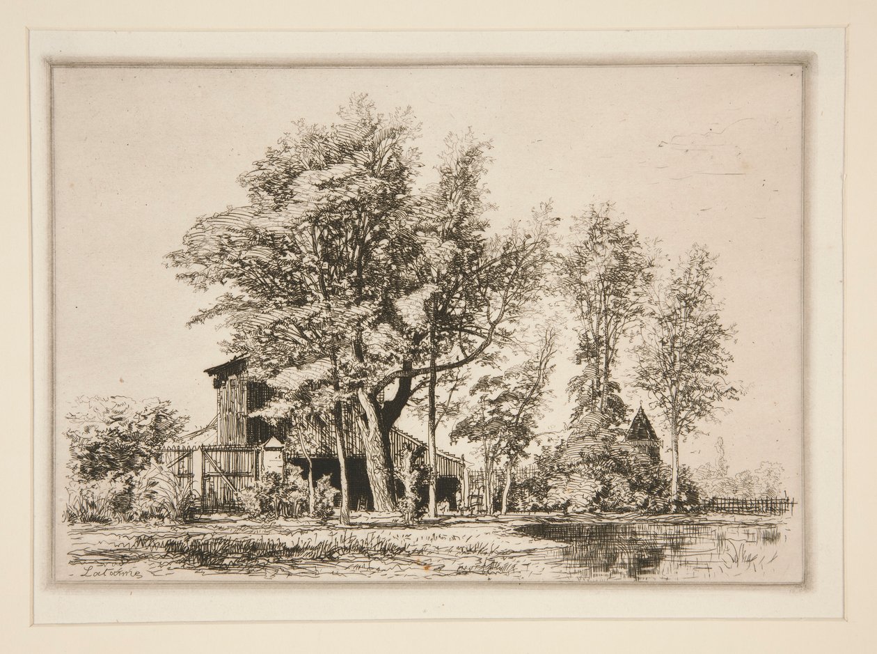 Acacia Trees by Maxime Lalanne