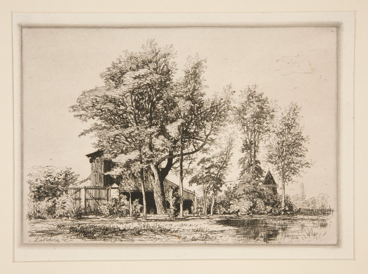 Acacia Trees by Maxime Lalanne