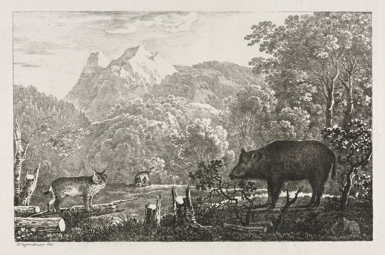 Wild Boar, Wildcat and Lynx by Maximilian Josef Wagenbauer