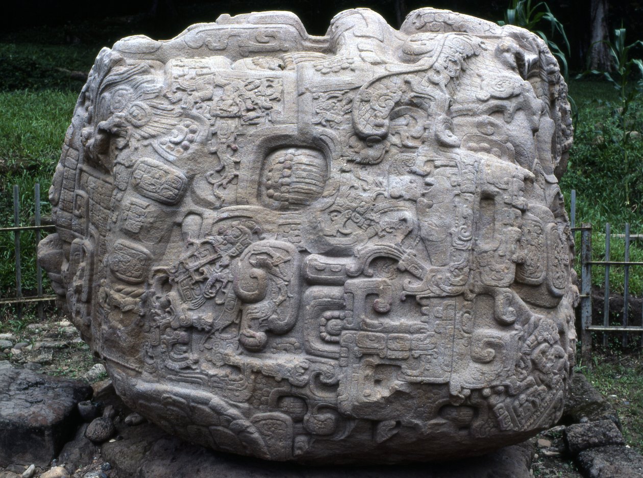 Side View of Zoomorphic Stone P, Late Classic Period (600-900 AD) by Mayan