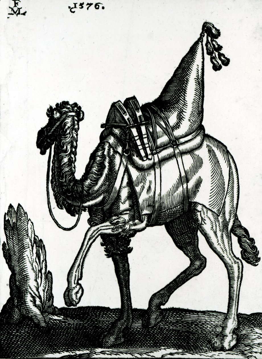 Camel by Melchior Lorck